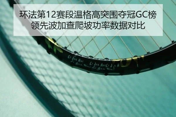 huan-fa-di-sai-duan-wen-ge-gao-tu-wei-duo-guan-bang-ling-xian-bo-jia-cha-pa-po-gong-lv-shu-ju-dui-bi-2-905.jpg